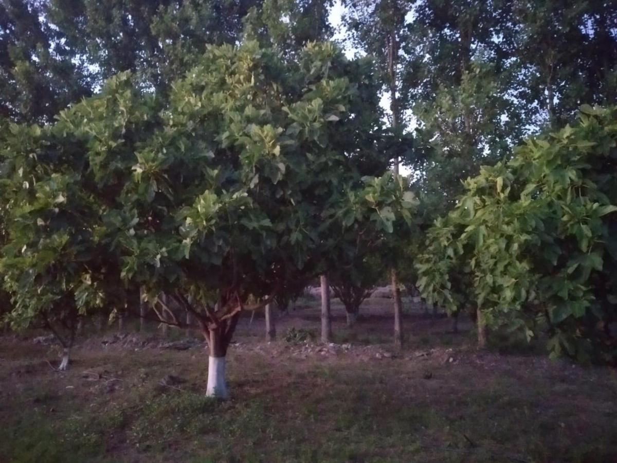 Finca La Julia Luyaba ภายนอก รูปภาพ