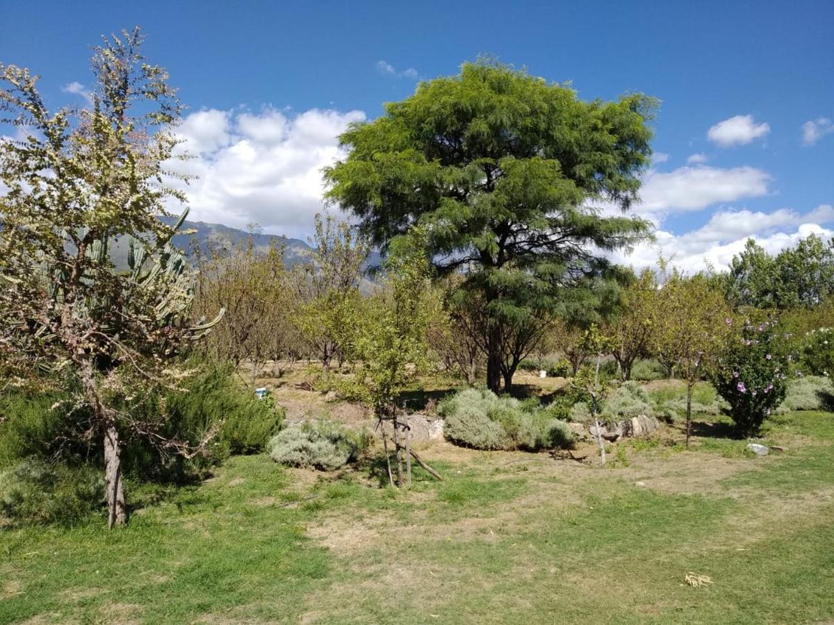 Finca La Julia Luyaba ภายนอก รูปภาพ