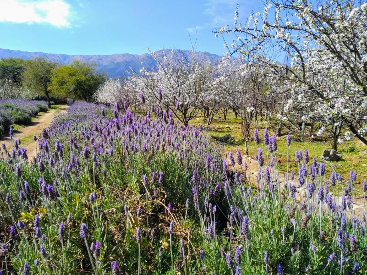 Finca La Julia Luyaba ภายนอก รูปภาพ